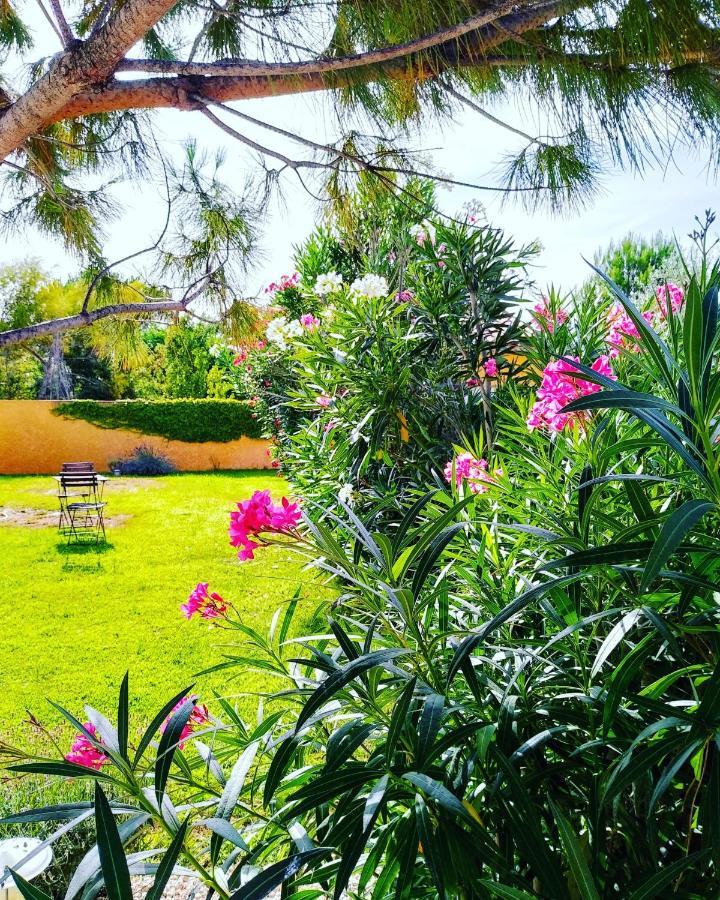 Bed and Breakfast Le Paquebot Villetelle Exterior foto